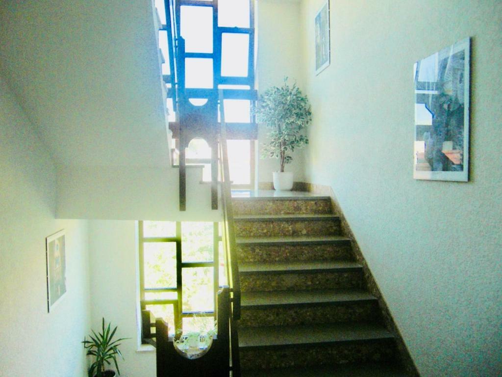 Apartment Ruza Kastela